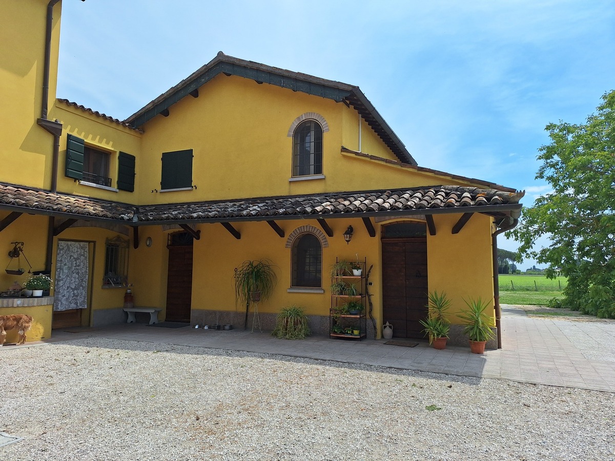 aglio-fata4