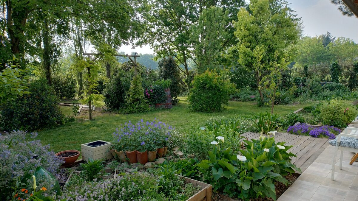 al-gufo-saggio3