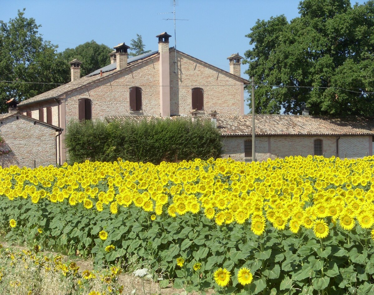 B&B CA' MINARDA