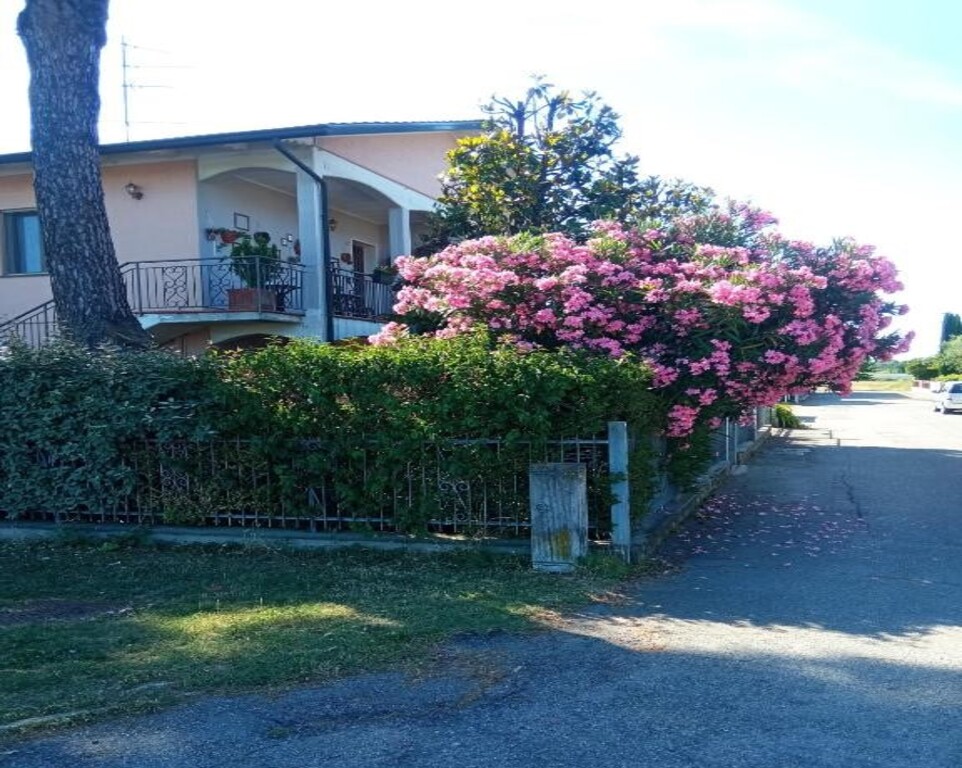 CASA VINTAGO