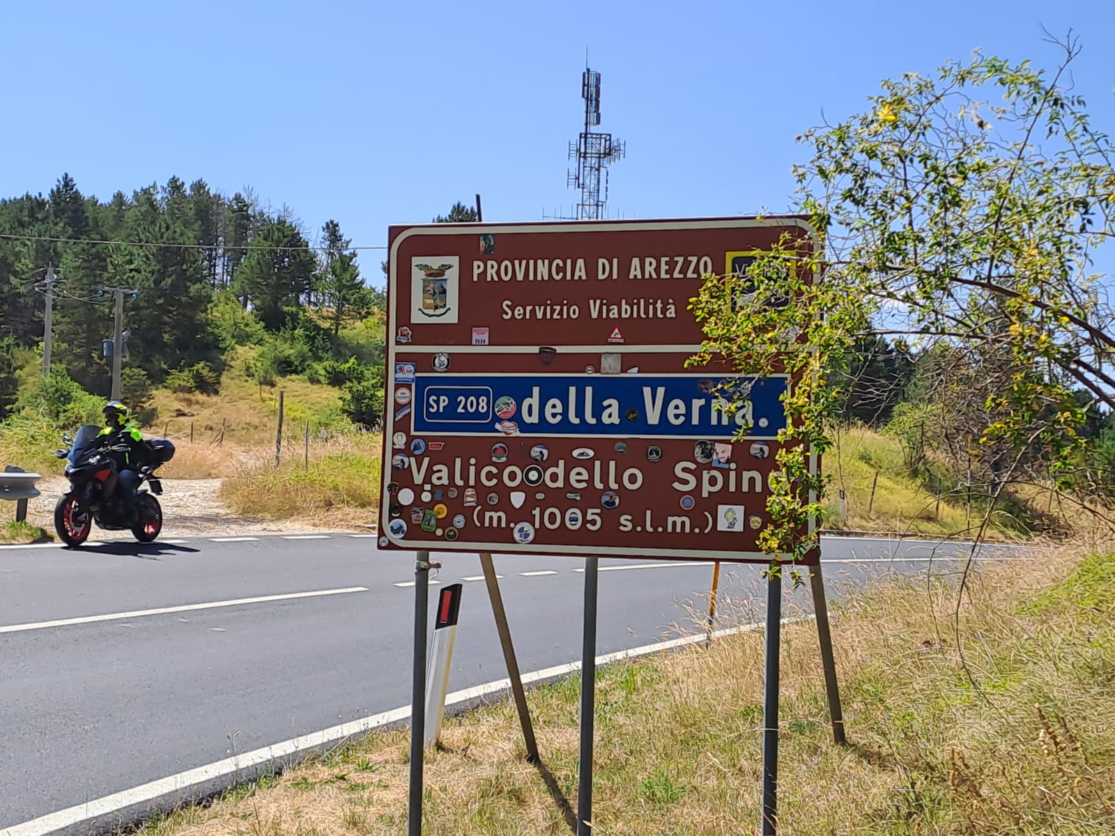 Immagine 1