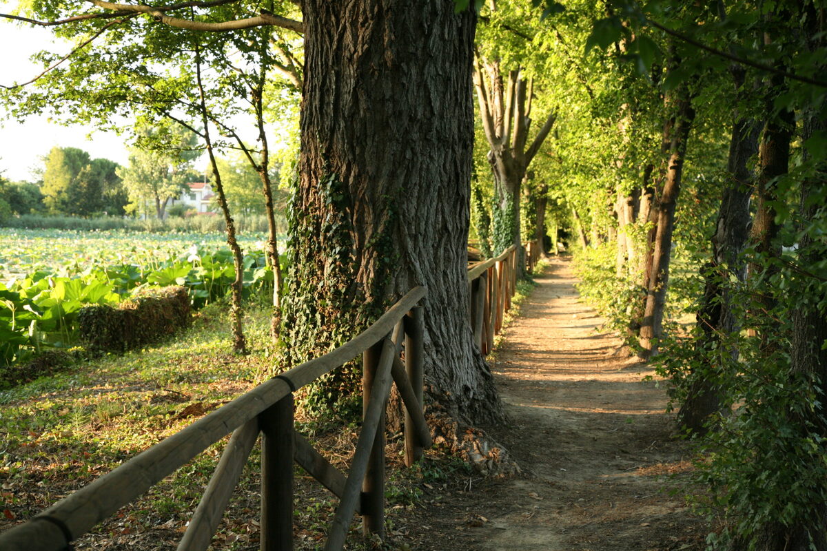 Immagine 3