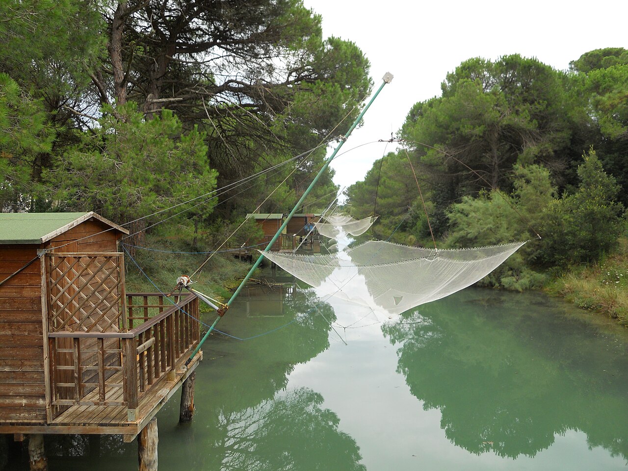 Immagine 1